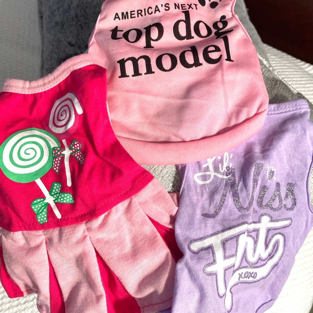 2 T-shirts and 1 dress for your small pup 🐶💕